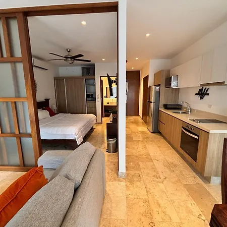 Chic 1Br Apartment In Playa Del Carmen Steps To 5Th Ave